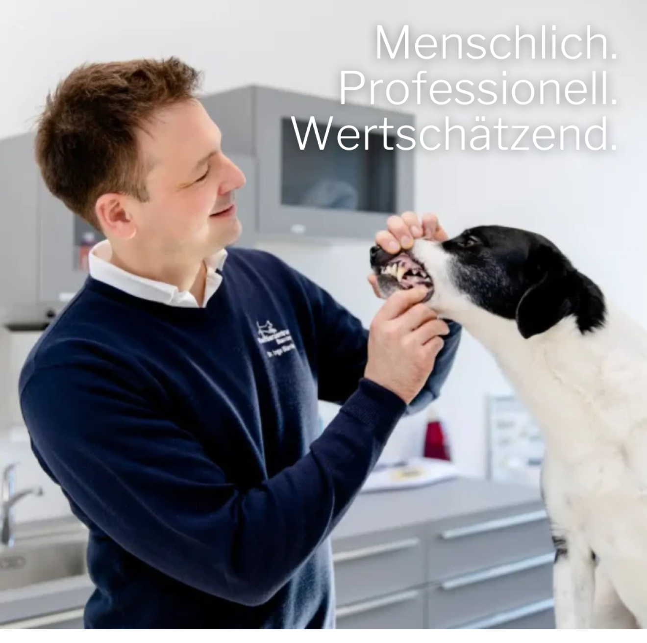 kleintierzentrum-starnberg-fachbereiche
